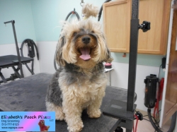 mojo-before-11-11-2014