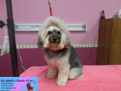 mojo-pizazz-11-11-2014