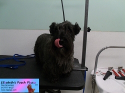 molly-before-06-27-2014