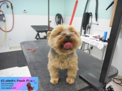 molly-before-11-09-2014