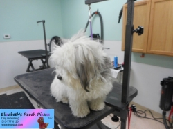 molly-before-11-11-2014