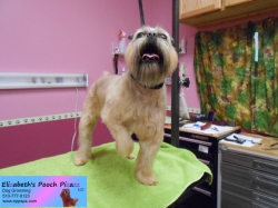 molly-pizazz-06-08-2014