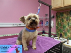 molly-pizazz-11-09-2014