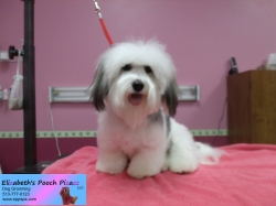 molly-pizazz-11-11-2014