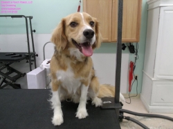 nicholas-before-4-15-14