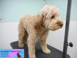 nigel-before-11-06-2014