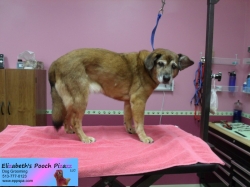 panut-pizazz-11-01-2014