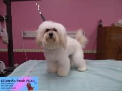 peanut-pizazz-11-05-2014