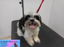 peekha-before-10-14-2014