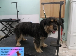 penny-before-07-06-2014