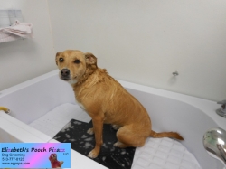 pumpkin-before-10-17-2014