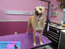 pumpkin-pizazz-10-17-2014