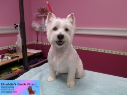 quin-pizazz-10-07-2014