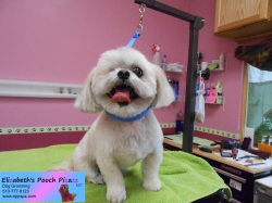 recee-pizazz-06-19-2014