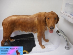 riley-before-11-09-2014