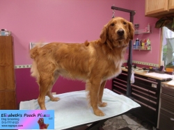 riley-pizazz-11-09-2014