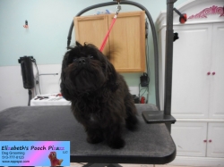 rosemary-before-11-11-2014