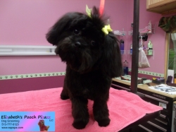 rosemary-pizazz-11-11-2014