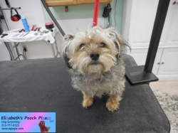 rosy-before-11-05-2014