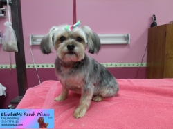 rosy-pizazz-11-05-2014