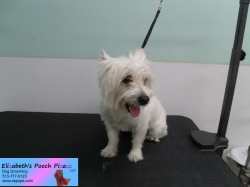 rudi-before-06-28-2014