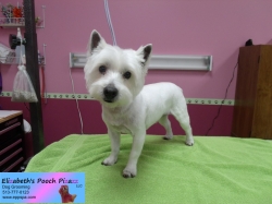 rudi-pizazz-10-07-2014