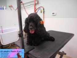 sammy-before-11-14-2014