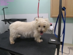 sammy-before-4-25-14