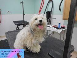 sarah-before-10-18-2014