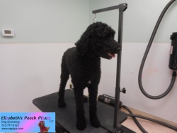 sebastian-before-10-31-2014