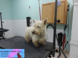 sherlock-before-10-31-2014