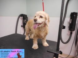 skye-before-11-05-2014