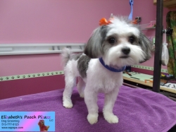 skye-pizazz-10-19-2014