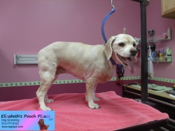 skye-pizazz-11-05-2014