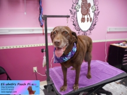 snickers-pizazz-09-24-2014