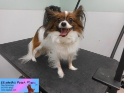 snowflake-before-11-04-2014