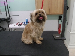 sophie-before-3-29-14