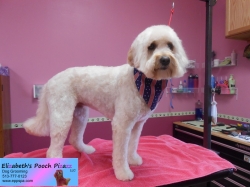 sophie-pizazz-06-29-2014