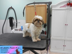 spencer-before-11-13-2014