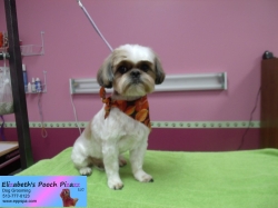 spencer-pizazz-11-13-2014