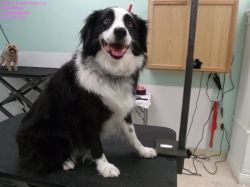 stella-before-4-22-14