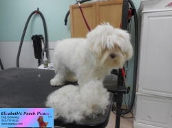 stormy-before-11-14-2014