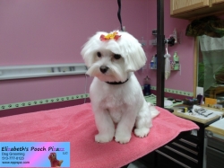 stormy-pizazz-11-14-2014