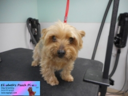 tabitha-before-11-09-2014