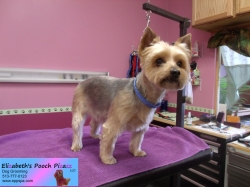 tabitha-pizazz-11-09-2014