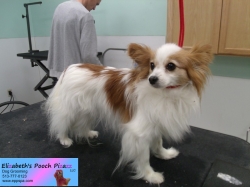 tinkerbell-before-06-17-2014