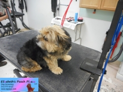 togo-before-11-11-2014