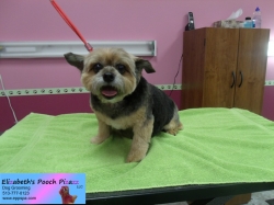 togo-pizazz-11-11-2014