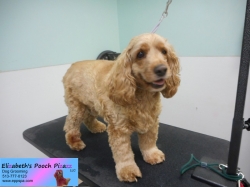 whopper-jr-before-11-14-2014