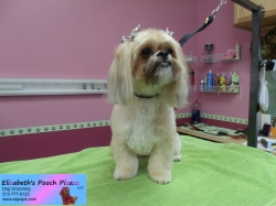 winnie-pizazz-10-15-2014